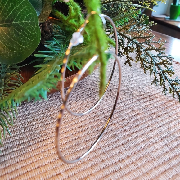 Hoop Earrings - Picture 2 of 2